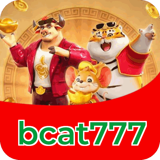 Interface bcat777